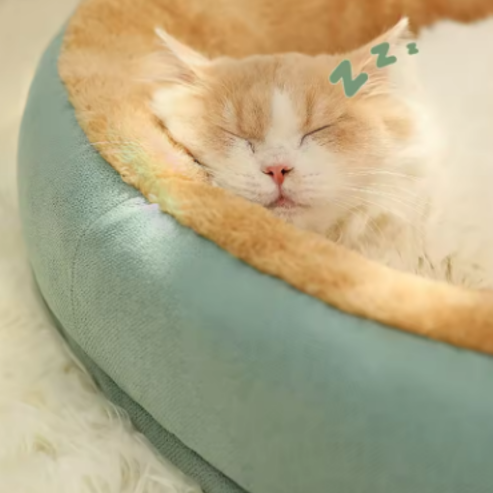 n cocon de douceur – Lit en peluche haut confort, parfait pour chiots, chats et animaux de petite à moyenne taille